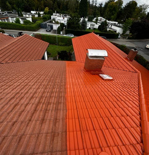 Private Dachbeschichtung in Seeheim-Jugenheim